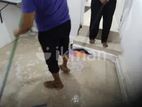 Cleaning Services