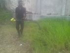 Cleaning Services