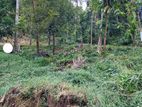 Land for Sale in Katugastota