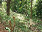 Land for Sale Kandy