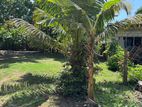 Land for Sale in Matara