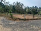 Close to High-Level Road Land for Sale Hanwella
