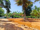 Coastal land for sale in Midigama
