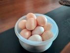 Cochin Brahma Incubated Eggs