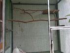 Cockatiel Cage