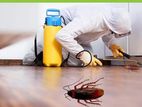 Cockroaches Control Treatments