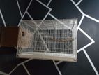 Cocktail Cage