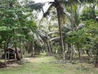 Coconut Acres Land for Sale in Kuliyapitiya