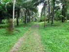 Land For Sale Gampaha