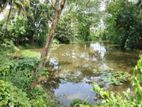 Coconut and Paddy Land for Sale in Kurunegala (welllawa)