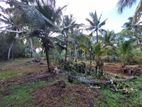 Land Sale in Ja Ela
