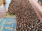 coconut copra