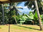 Coconut Cultivated 25 Acres Land for Sale in Godakawela