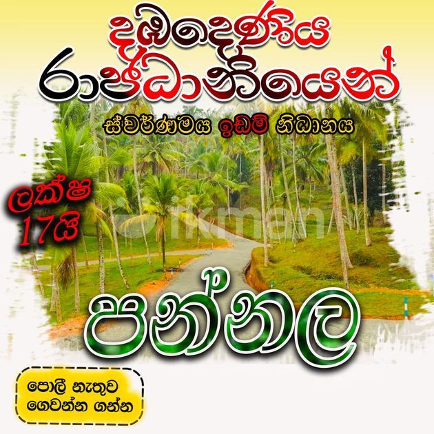 coconut cultivated land from pannala ikman