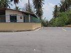Coconut Cultivated Land with A House for Sale Homagama
