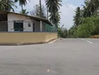 Coconut Cultivated Land with A House for Sale Homagama