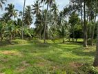 Coconut Estate For Sale in Dankotuwa