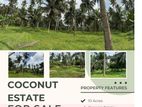 Coconut Estate For Sale In Dankotuwa