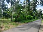 Coconut Estate in Gampaha for Sale