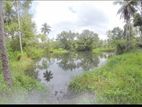 Coconut Estate in Wellawa for Sale - Kurunegala