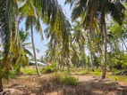 Coconut Estate Land for Sale Dankotuwa