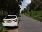 Coconut Estate Land for Sale in Wellewa