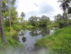 Coconut Estate Land for Sale Kurunegala (wellawa)