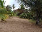 Coconut Estate Land for Sale Mundel Baralankattuwa