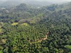 Coconut Estate with Natural Beauty & Development Potential in Kegalle
