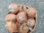 Coconut for Home Use