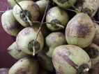 Coconut
