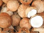 Coconut