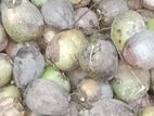 Coconuts