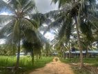 Land for Sale Embilipitiya