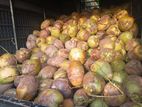 Coconut