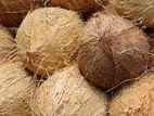 Coconut