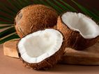 Coconut