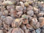 Coconut Husk