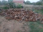 Coconut Husk