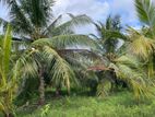 Coconut Land for Sale Chilaw