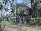 coconut land for sale Chilaw