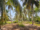 Coconut Land for Sale Dankotuwa