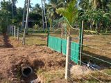 Coconut Land for Sale Dummalasuriya