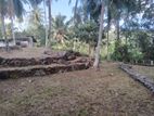 Coconut Land for Sale Epitawala