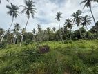 Coconut Land for Sale Hodiwewawatte