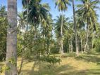 Coconut Land for Sale Madurankuliya