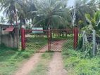 Coconut Land For Sale