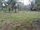Coconut Land for Sale Giriulla