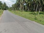 coconut Land for Sale in Dankotuwa