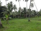 Coconut Land for Sale in Divulapitiya